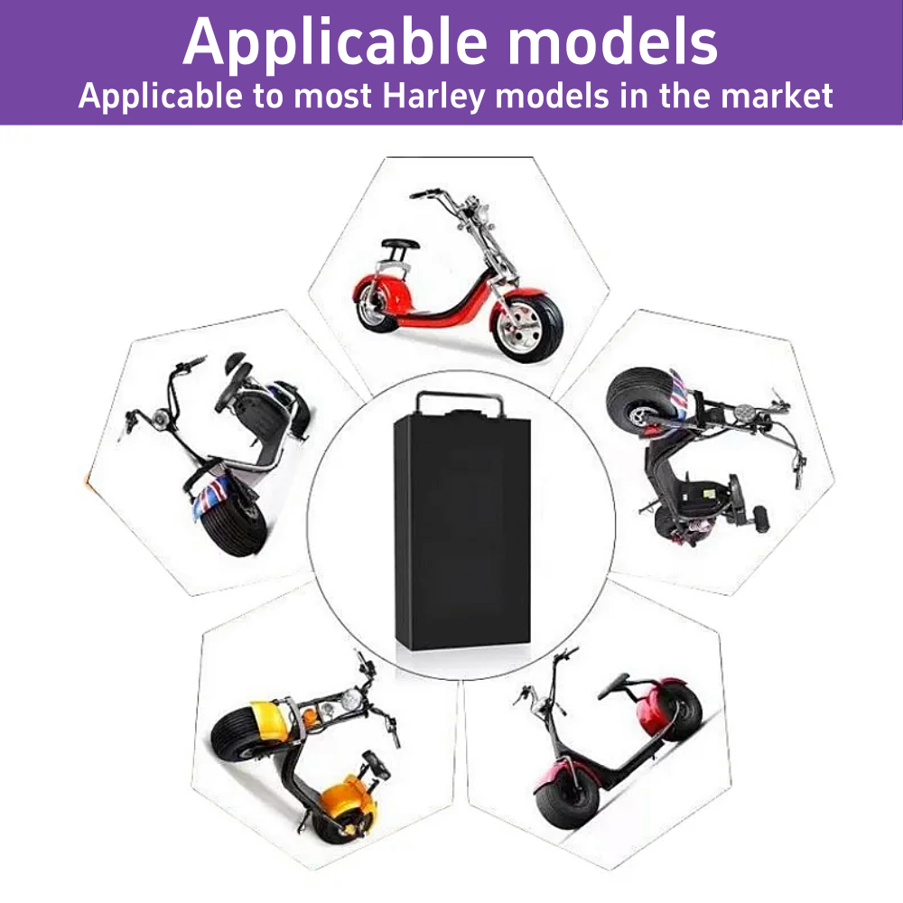 بطارية ليثيوم 60 فولت لمركبة ه - مراجعة 60V 30Ah Electric Scooter Battery وسعره